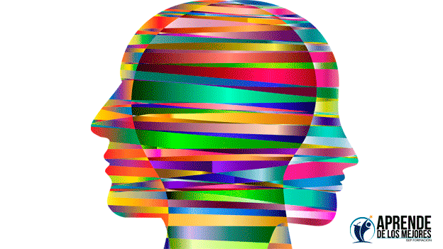 Retos de la Neuroeducación 1 Modelo imagen blog NeuroeducacionAPM