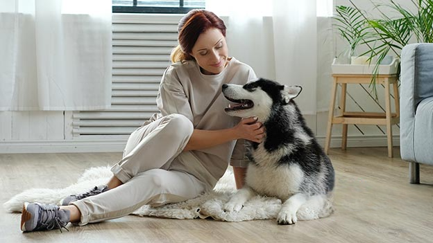 Introducción a la Intervención Asistida con Animales (IAA)